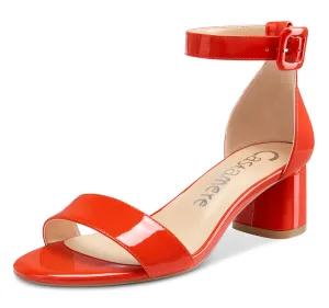 CASTAMERE Womens Chunky Block Heel Sandals Ankle Strap Open Toe Buckle 5CM Heels Sandal