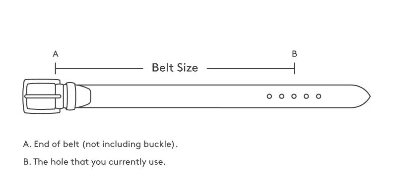 Gray Western Belt Crocodile Tail Print Leather - Silver Buckle